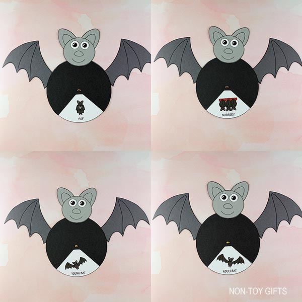 Bat Life Cycle Craft and Activity