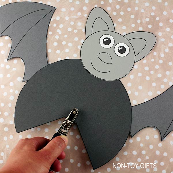 Bat Life Cycle Craft and Activity
