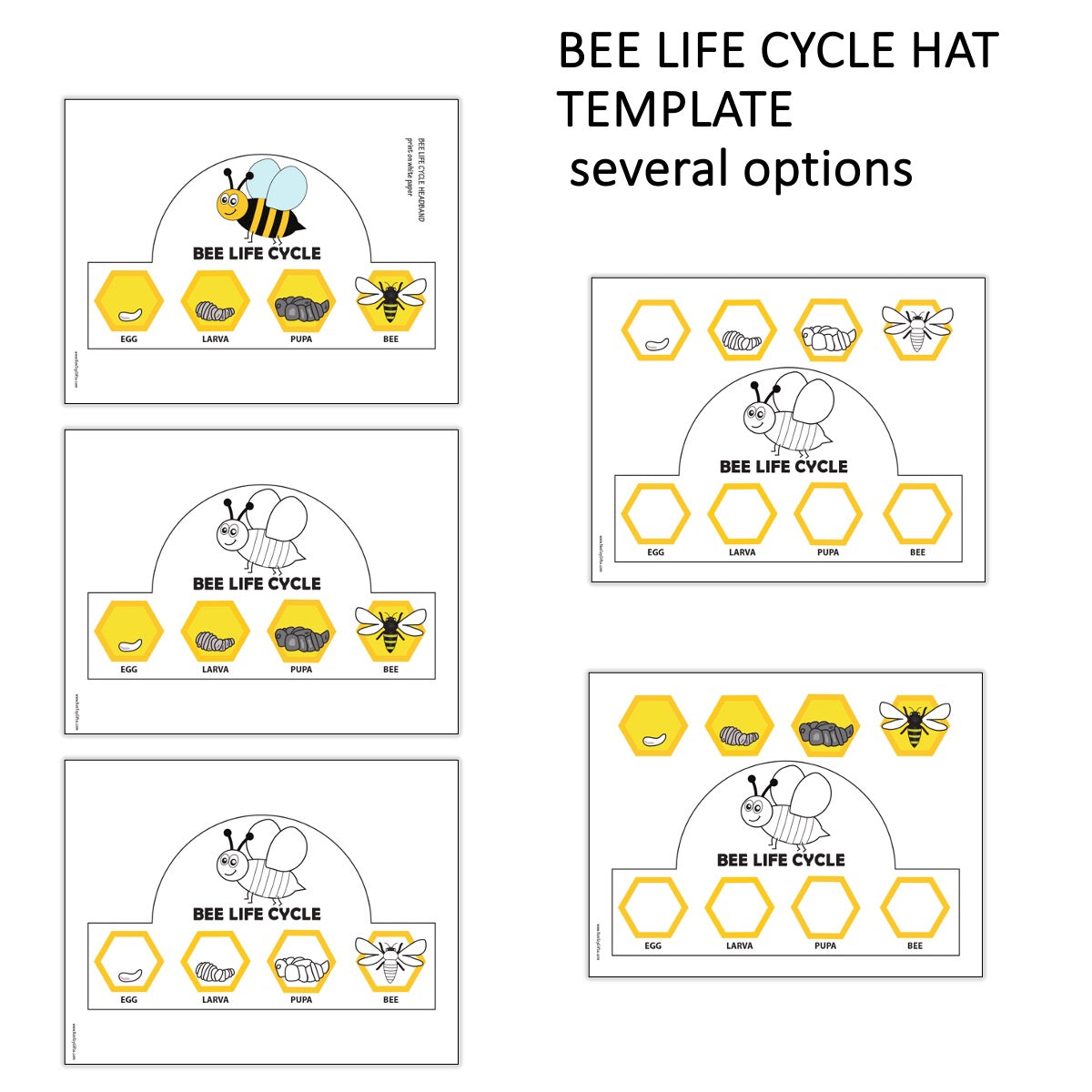 Bee life cycle paper hat craft for kids to make on spring day and learn about insects