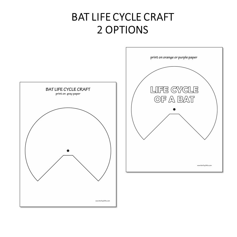 Bat Life Cycle Craft and Activity
