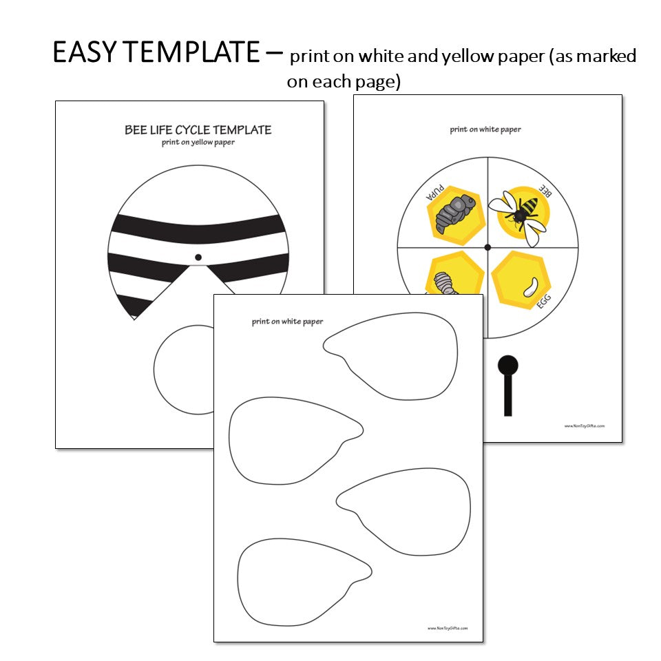 Bee Life Cycle Wheel Spinner Craft And Activity - Honey Bee Life Cycle