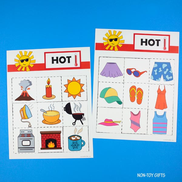 Hot and Cold Sorting Activity