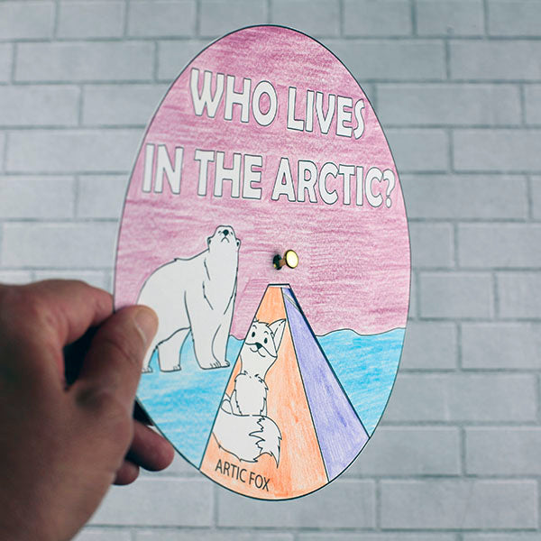 Arctic Animals Craft: Who Lives in the Arctic?