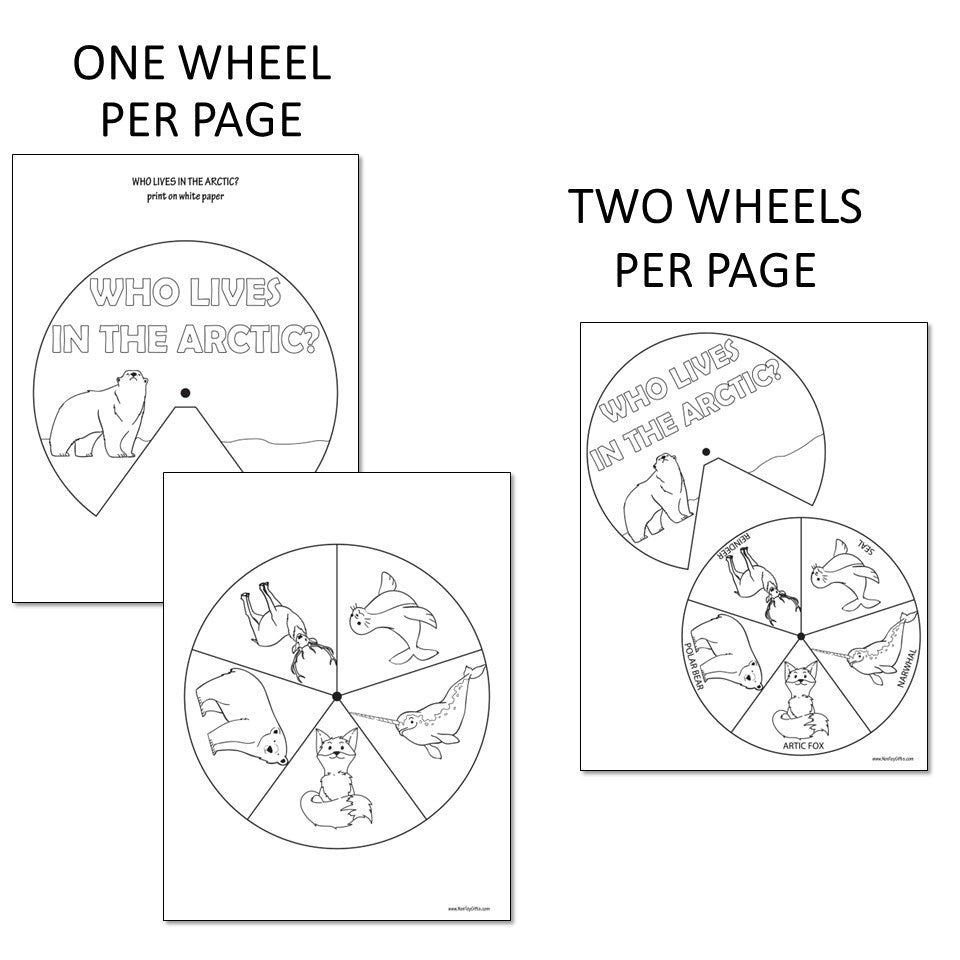 Arctic Animals Craft: Who Lives in the Arctic?