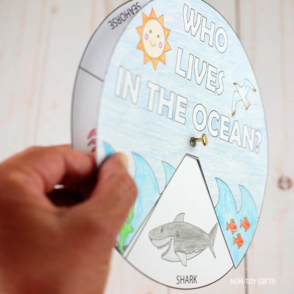 Ocean Animals Craft: Who Lives in the Ocean?