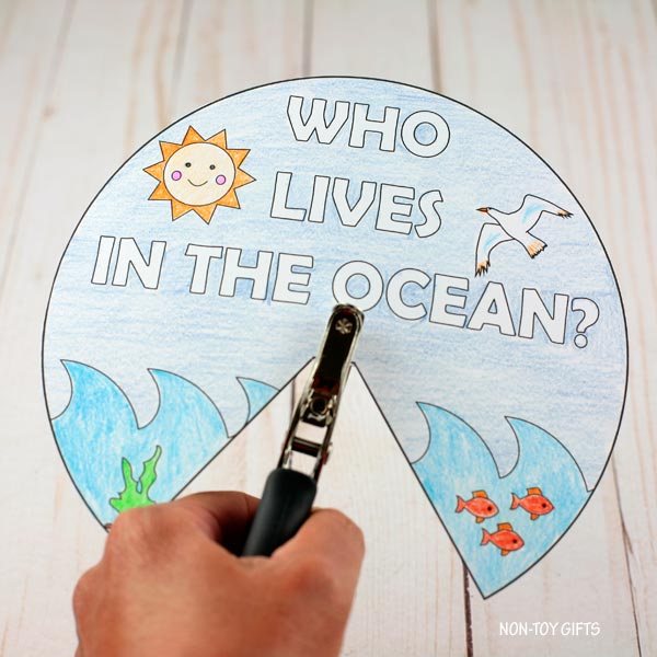 Ocean Animals Craft: Who Lives in the Ocean?