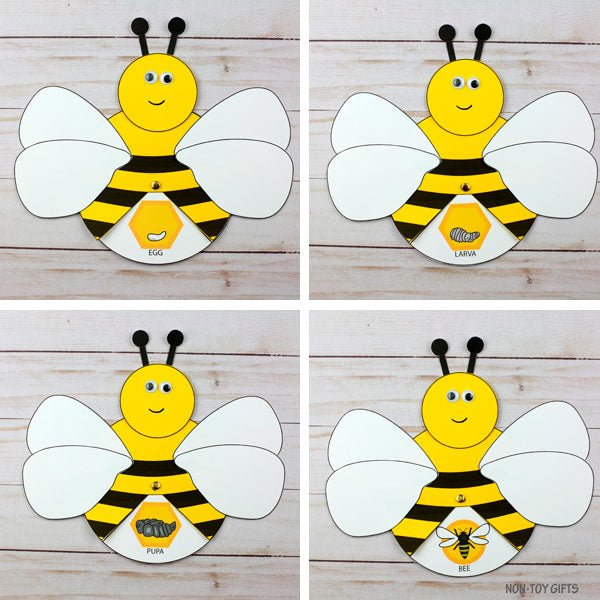 Bee Life Cycle Wheel Spinner Craft And Activity - Honey Bee Life Cycle