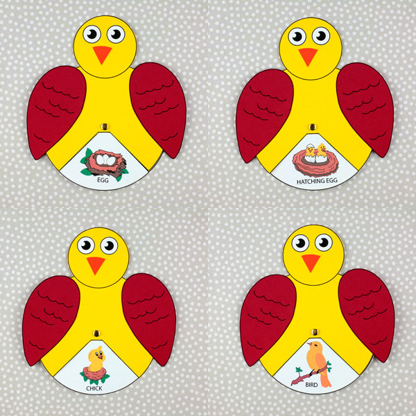Spring Life Cycle 4-Craft Bundle: Bee, Butterfly, Frog and Bird Spinners