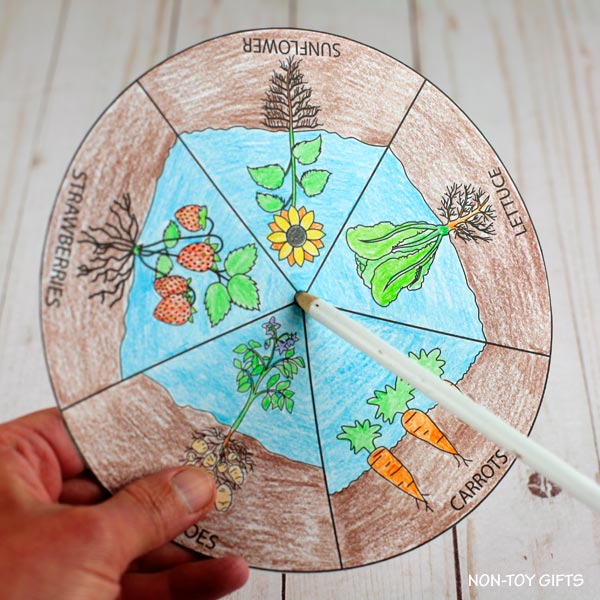 Garden Craft: What Grows in the Garden? Coloring Spinner Craft