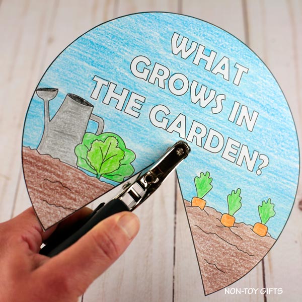 Garden Craft: What Grows in the Garden? Coloring Spinner Craft