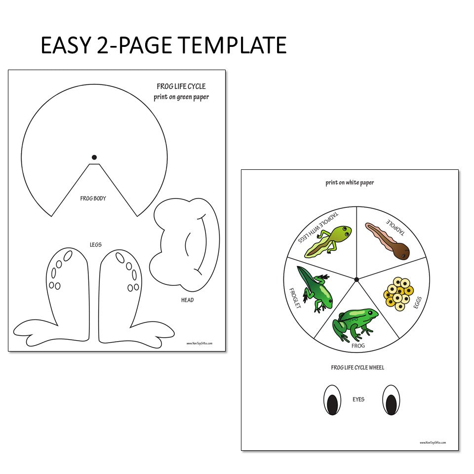 Frog Life Cycle Craft and Activity - Spinner Wheel – Non-Toy Gifts frog-life-cycle-craft-and-activity-spinner-wheel-non-toy-gifts