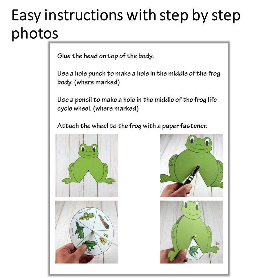 Frog Life Cycle Craft and Activity - Spinner Wheel